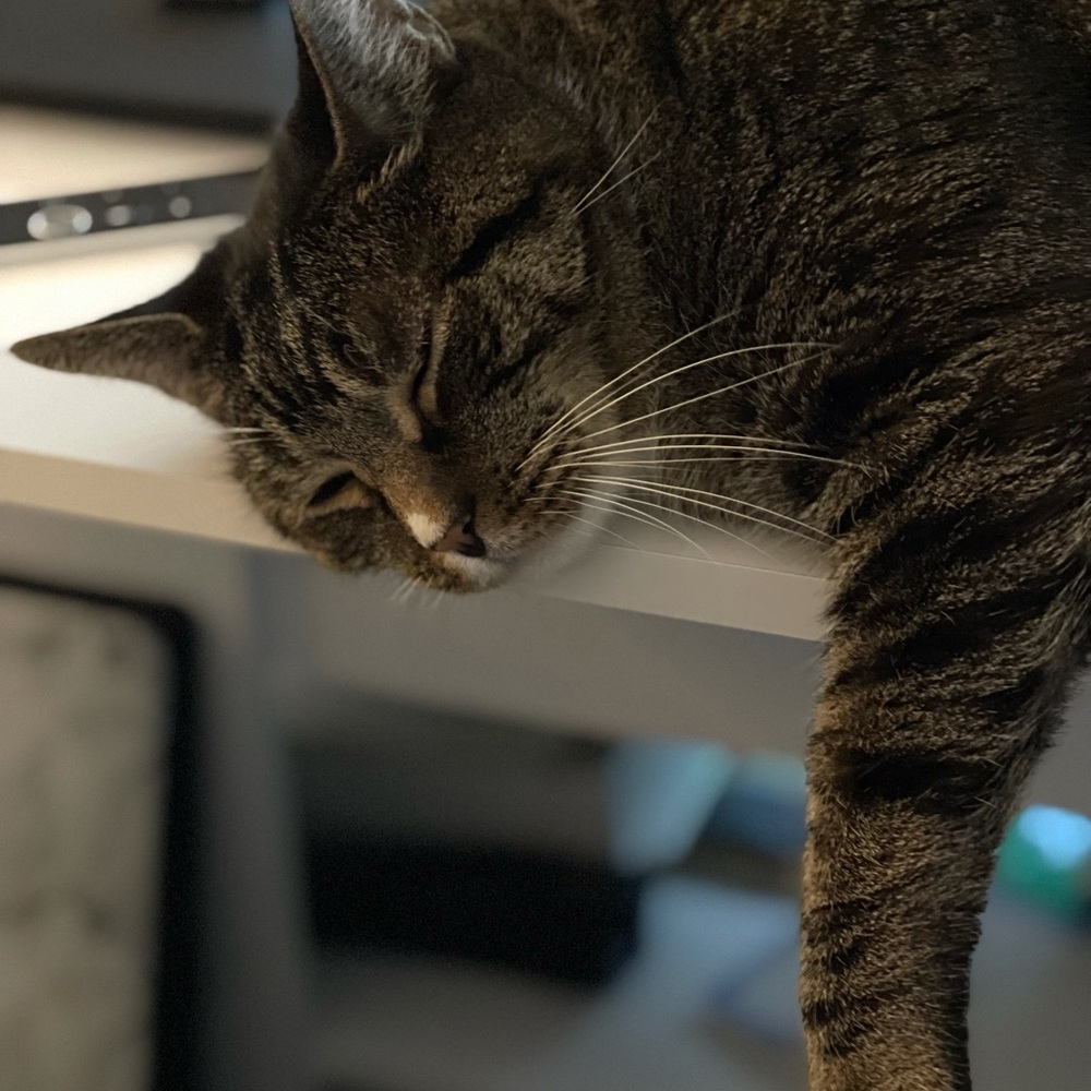 Meet your Posher, 美里